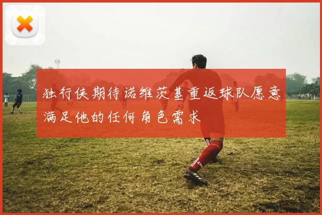 独行侠期待诺维茨基重返球队愿意满足他的任何角色需求